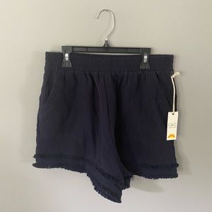 C&C California Navy Shorts